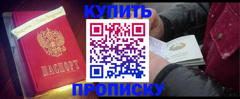 прописка гарантия в Шали